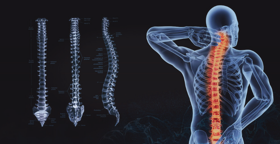columna multiusos médica