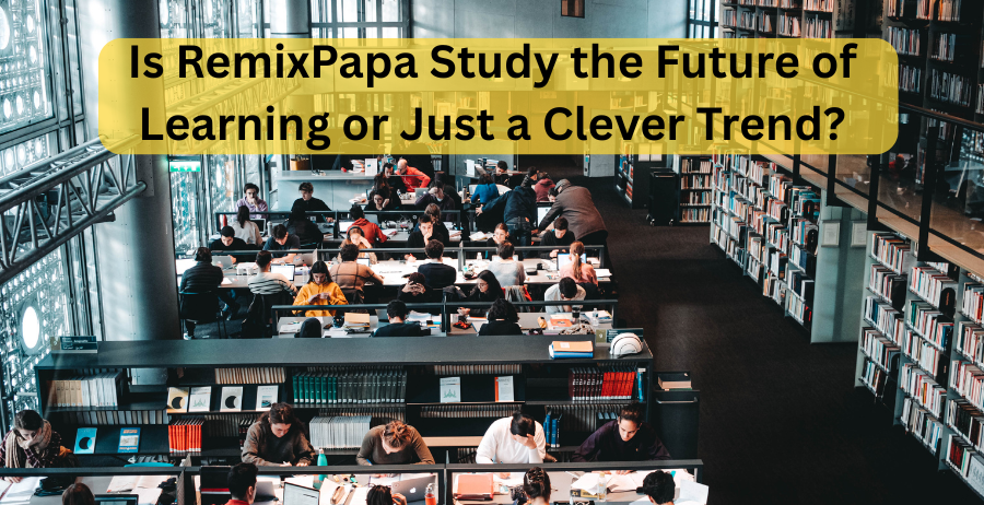 is remixpapa study the future of learning or just a clever trend