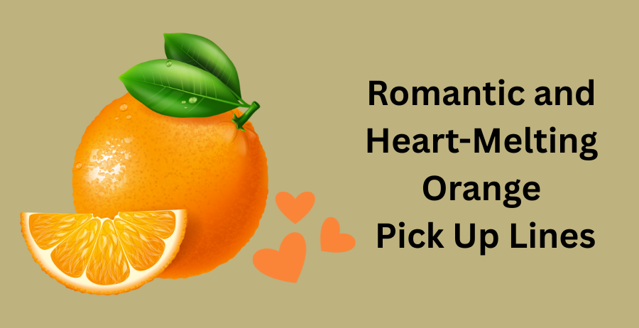 romantic and heart melting orange pick up lines